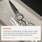 Matsato Scissors