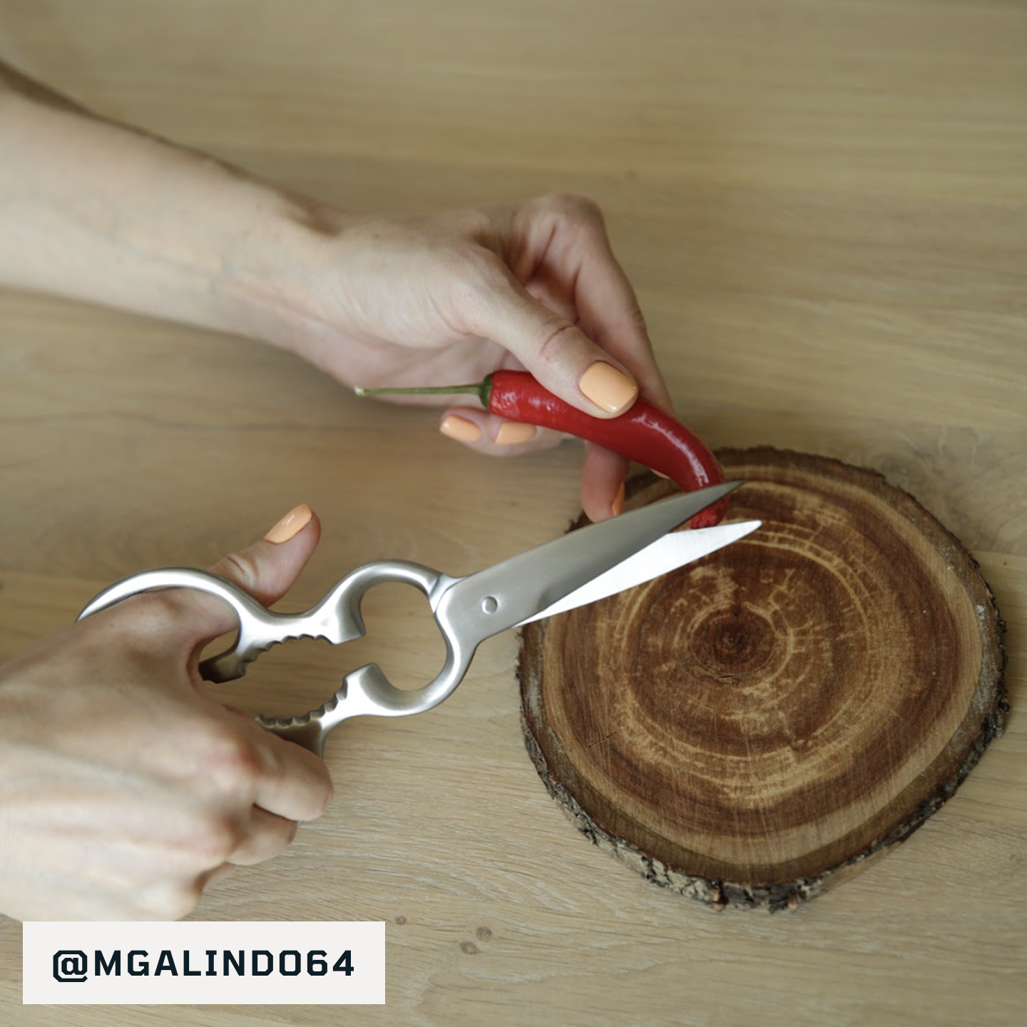 Matsato Scissors